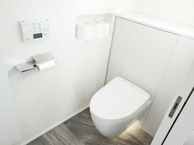 トイレの進化と文化が紡ぐ快適空間
