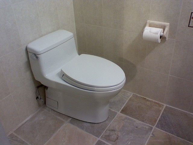 トイレの進化と文化探索