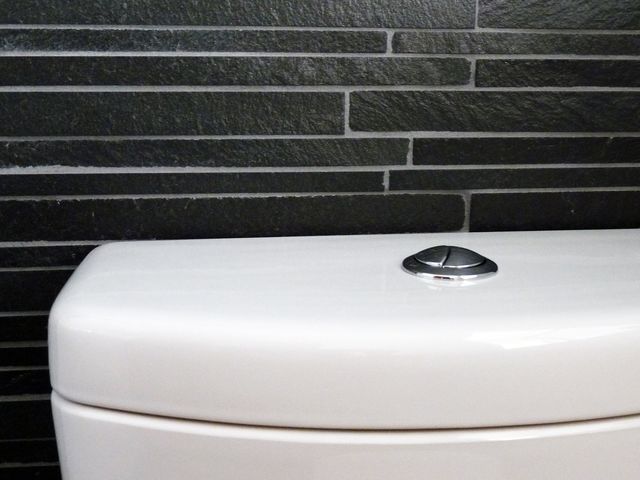 トイレの重要性と進化を探る